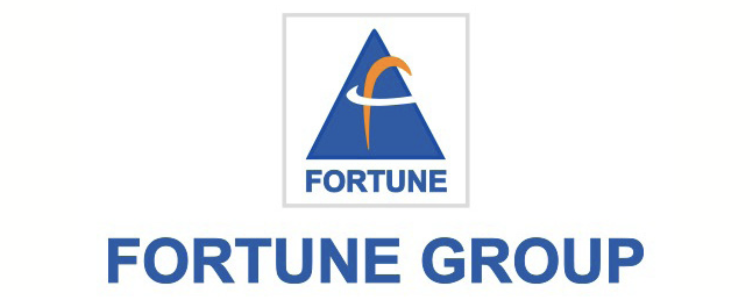 Future Group